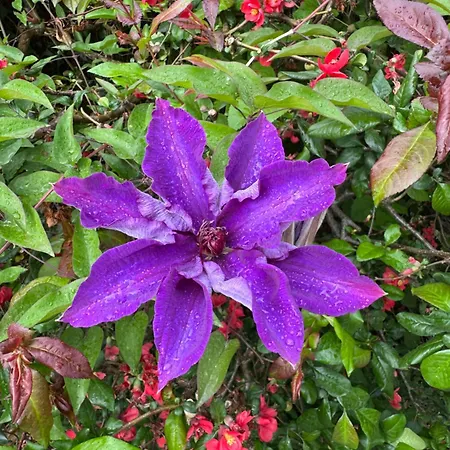 Hébergement de vacances De La Vigne