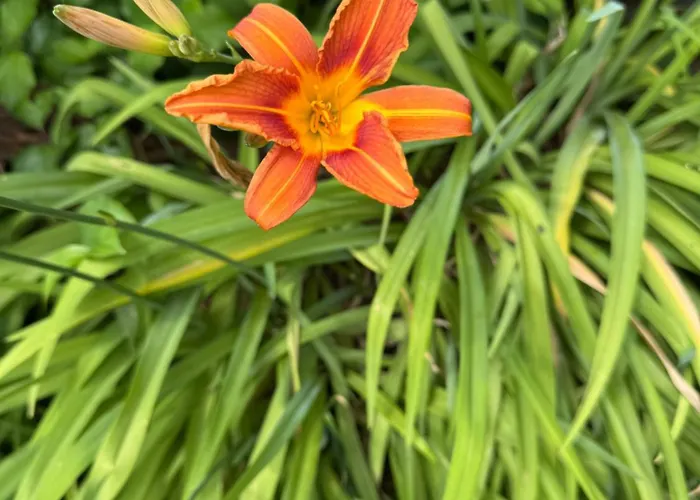 De La Vigne Casa vacanze *