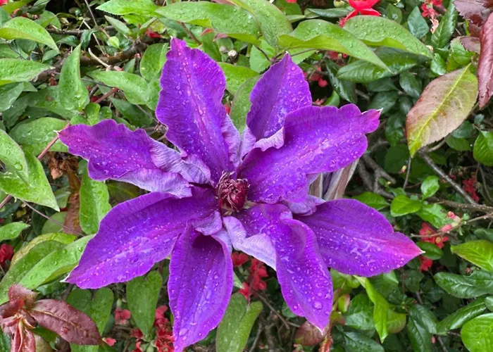 Casa vacanze De La Vigne