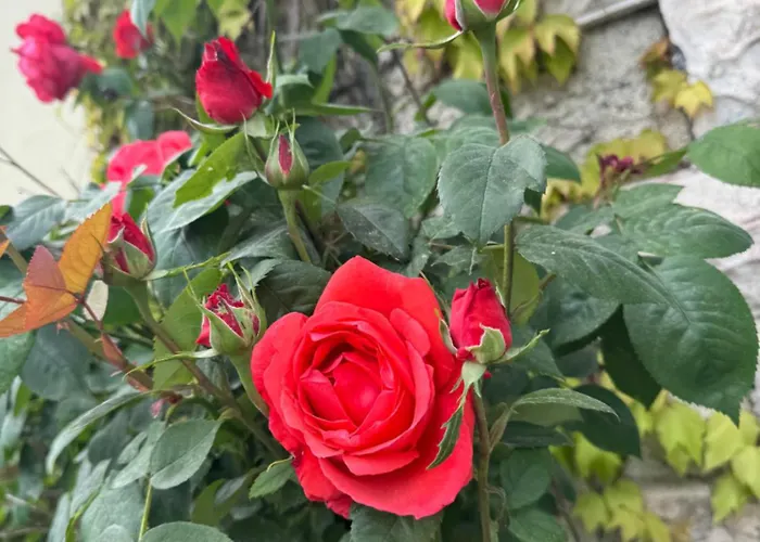 De La Vigne Bagnoles de l'Orne Normandie